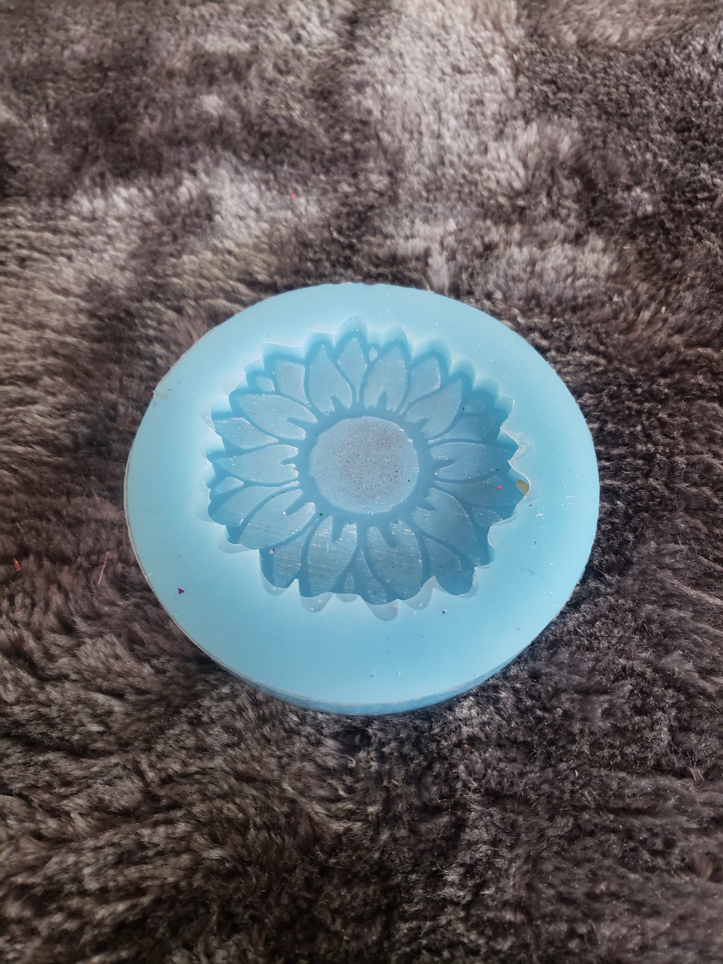 Sunflower mold